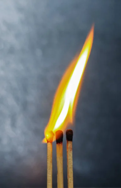 Group of a red match burning isolated with the background. Row burning matchstick in the chain reaction. Matchstick art photography.