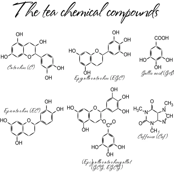 Химические формулы компонентов чая — стоковый вектор