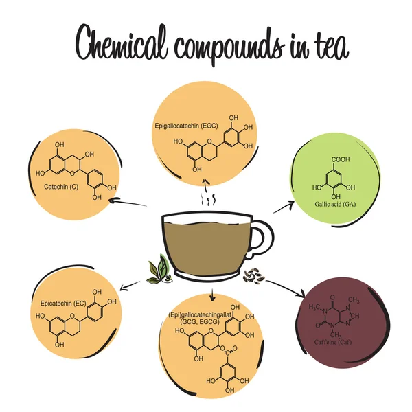 Chemické sloučeniny v Tea infografika — Stockový vektor