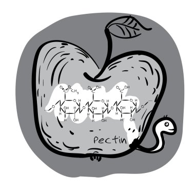Sketched illustration: Pectin in apples. clipart
