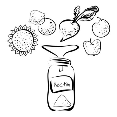 Sketched infographics: prodaction of pectin. clipart