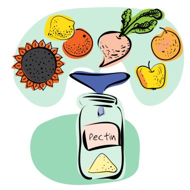 Colorful infographics: prodaction of pectin. clipart