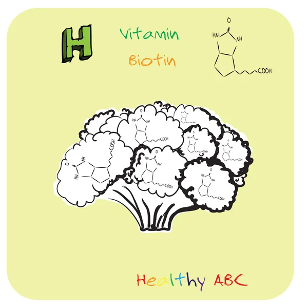 ABC saudável: Vitamina H — Vetor de Stock