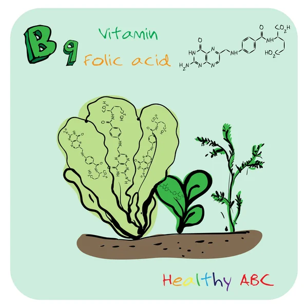 Здоровый ABC: Витамин B 9 Стоковая Иллюстрация