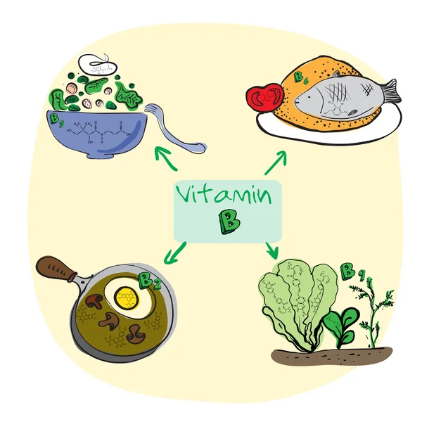 Цветная версия ABC: Витамины группы B - B 2, B 5, B 6, B 9 . Стоковый вектор
