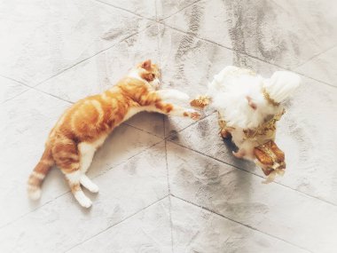 Genç, kızıl erkek bir kedi Noel Baba 'yla birlikte tüylü, hafif bir halıda Noel resimlerine uygun bir şekilde oynuyor..