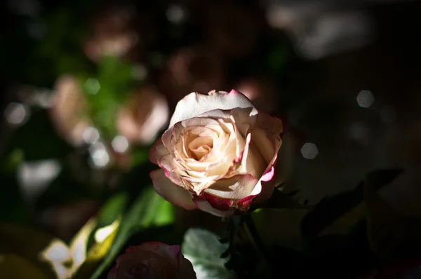 Rosas e buquês da noiva — Fotografia de Stock