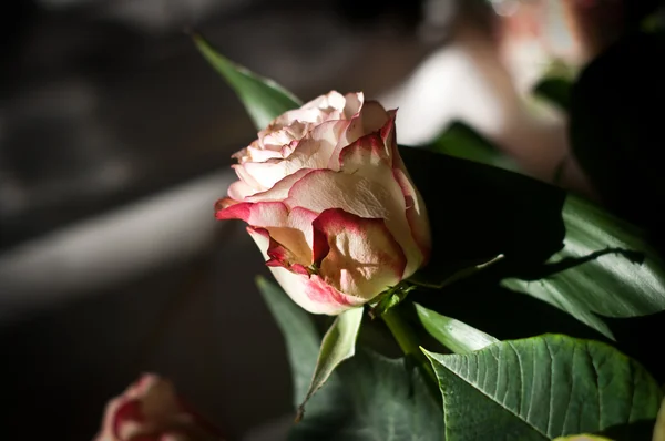 Rosas e buquês da noiva — Fotografia de Stock