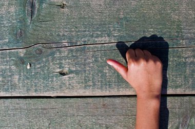 el, numaraları ve ahşap