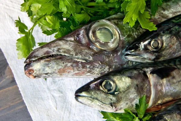 Peixe azul recentemente capturado grande para uma dieta saudável — Fotografia de Stock