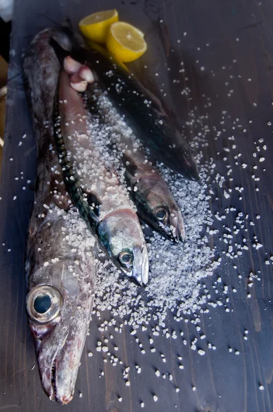 Peixe azul recentemente capturado grande para uma dieta saudável — Fotografia de Stock