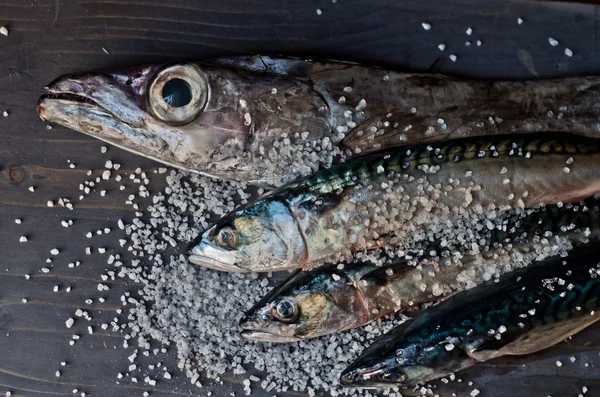 Blå fisk nyfångad bra för en hälsosam diet — Stockfoto