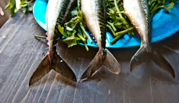 Pescado azul recién capturado ideal para una dieta saludable —  Fotos de Stock