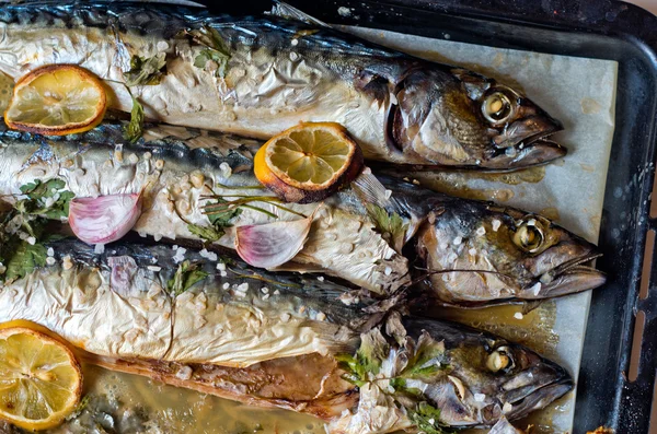 Blå fisk nyfångad bra för en hälsosam diet — Stockfoto