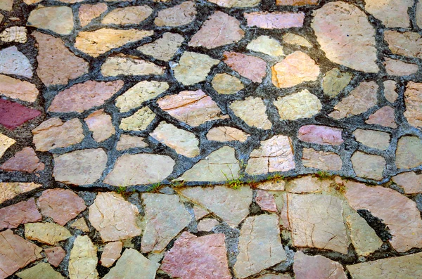 Piso de pedra com crack e ervas — Fotografia de Stock