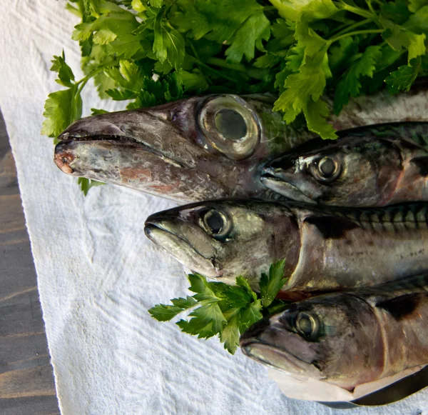 Peixe azul fresco para uma dieta saudável — Fotografia de Stock