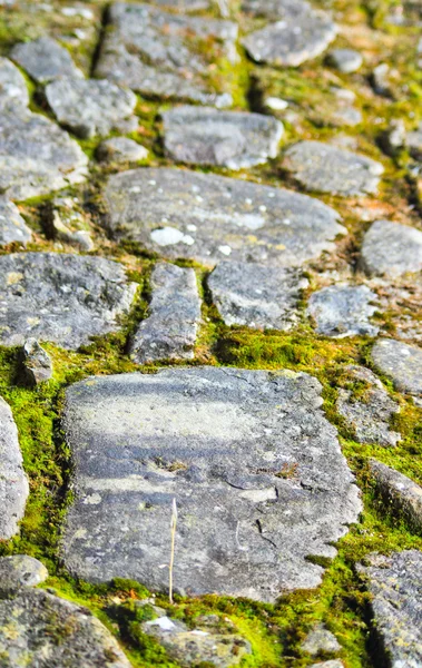 Stones of an ancient path and moss — Stock Photo, Image