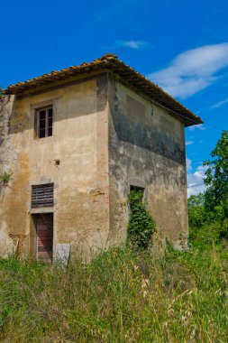 Bozulmuş bina bitkiler tarafından işgal