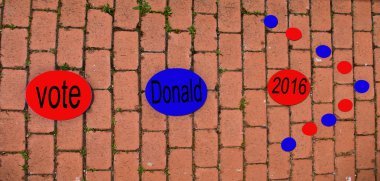 Tek şansım, donald trump için oy