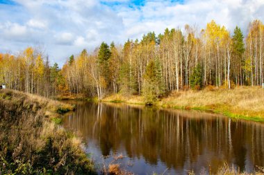 Park alanı çiçek ağaçları kültür parkı heykel malikanesi.