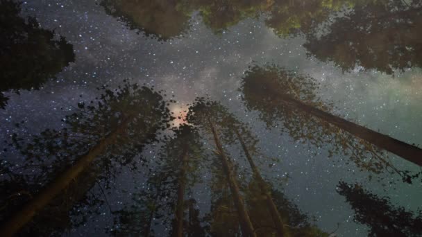 Ovni Descendiendo Del Cielo Por Encima Las Copas Los Árboles — Vídeos de Stock