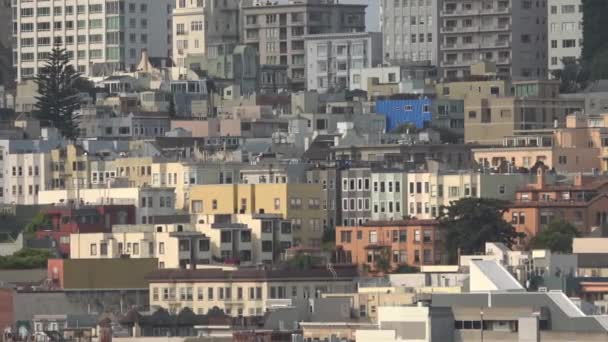 San Francisco Skyline Arkitektur Och Amerikansk Flagga — Stockvideo
