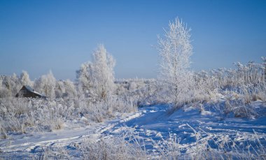 Karla kaplı ağaçlar ve yollarla kaplı kış manzarası.