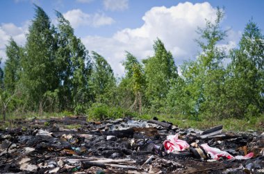 Rus ormanında ilkbahar. Çevre kirliliği. Ormanın yakınındaki çöplükte çöp..