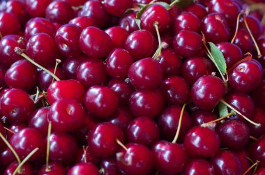 Kırmızı kiraz arka plan, tatlı kiraz yakın plan.