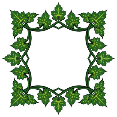 Dekoratif tasarım için beyaz arka planda yeşil balkabağı yaprakları. Çiçek vektör illüstrasyonu.