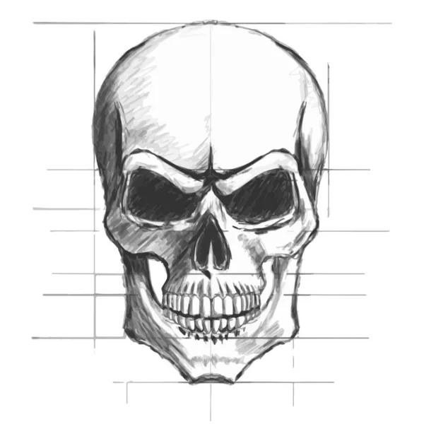 頭蓋骨の鉛筆のスケッチベクトル — ストックベクタ