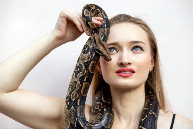 Young woman holding big brown snake on white background. Reptile lover, pet concept