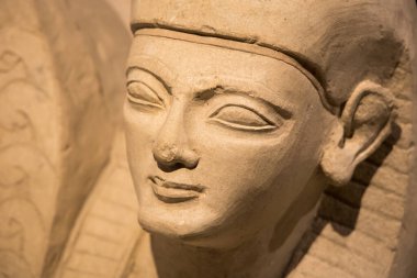 Leiden, Hollanda - Ocak 04, 2020: Antik Kıbrıs 'tan kalma taş gömme Sfenks heykelinin yakın çekimi. Antik Mısır Kıbrıs 'ı etkiler. Aslan Sfenksi.