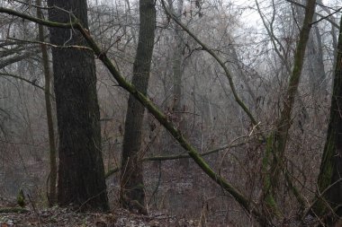 Yağmur üstüne yağmur.