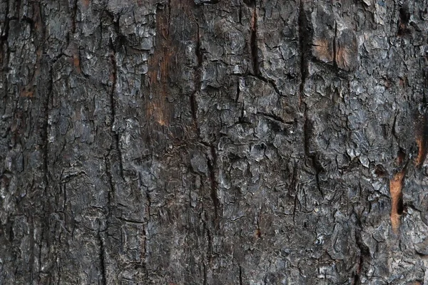 Göl Kenarında Bulutlu Bir Hava — Stok fotoğraf