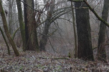 Yağmur üstüne yağmur.