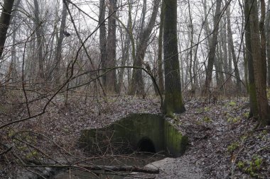 Yağmur üstüne yağmur.