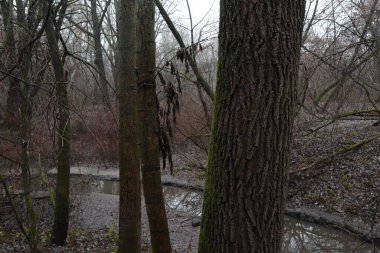 Yağmur üstüne yağmur.