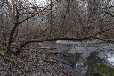Yağmur üstüne yağmur.