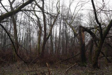 Yağmur üstüne yağmur.