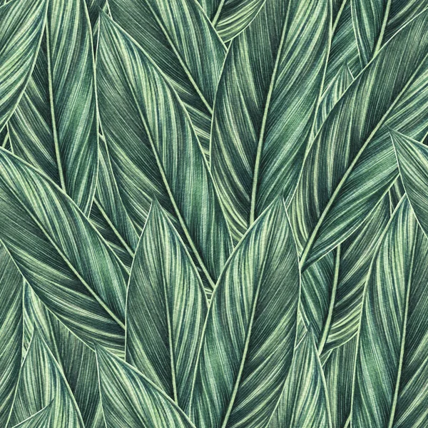 Akvarel Malba Barevné Tropické Zelené Listy Bezešvé Vzor Pozadí Akvarel — Stock fotografie