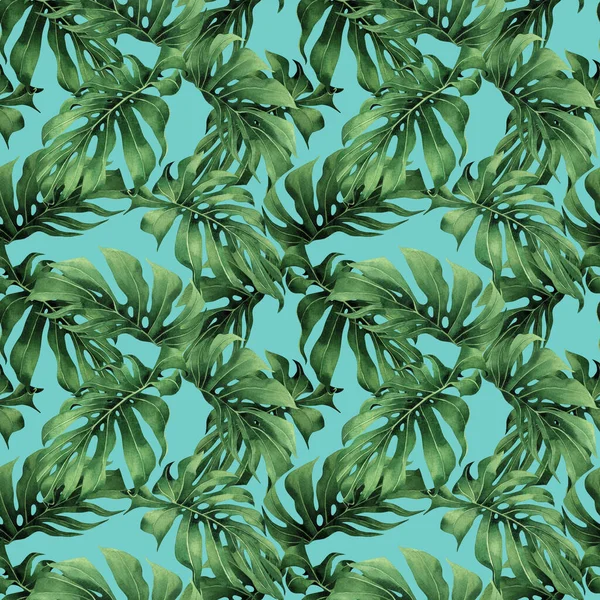 Aquarela Pintura Tropical Colorido Monstera Verde Folhas Sem Costura Padrão — Fotografia de Stock