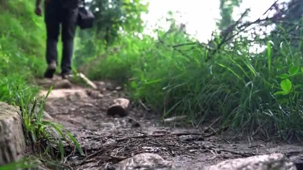 Pan Focus scatto di un uomo che cammina su un sentiero con Lush Green- Slow Motion alla cascata Jogini, Manali — Video Stock