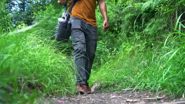 Cuerpo inferior de un hombre caminando por el sendero con hierba exuberante - cámara lenta — Vídeo de stock