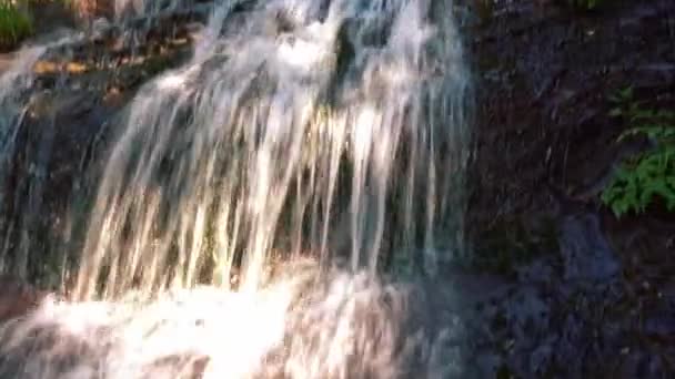 Cascate che scorrono veloci dalle scogliere rocciose della foresta con un fascio di luce solare durante l'estate. - Tilt-Up Shot — Video Stock