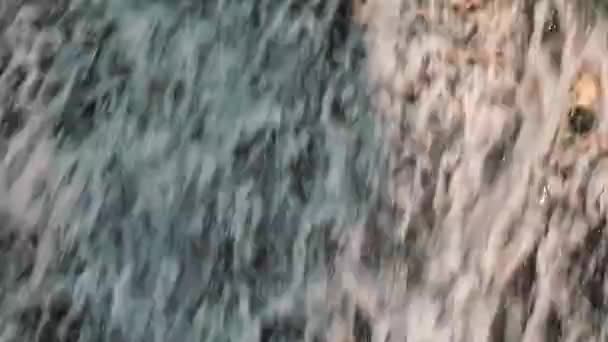 インドのManaliの谷の森で苔で覆われたロッキー山脈から流れてくるストリームの絶景。-チルトアップショット — ストック動画