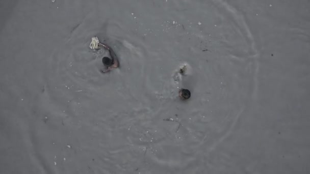 Männer schwimmen im schmutzigen Teichwasser in Agra, Indien - top shot — Stockvideo