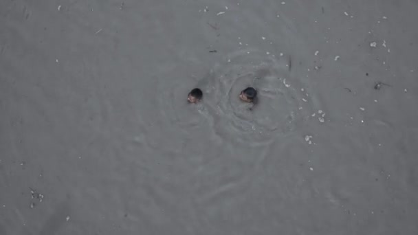 Homens nadando na água da lagoa suja em Agra, Índia - tiro superior — Vídeo de Stock