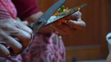 Hindistan, Agra 'da Marigoldların Çiçek Başı' nı Kesmek İçin Makas Kullanan Kadın