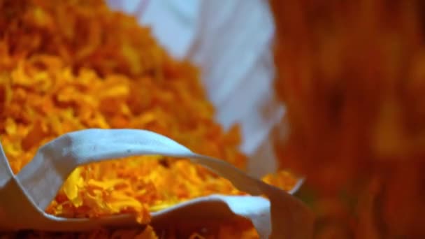 Πρόσωπα χέρι τοποθέτηση τεμαχισμένα κίτρινα πέταλα από Marigold λουλούδια σε λευκή υφασμάτινη τσάντα που χρησιμοποιείται για Diwali τελετουργικά. - Κοντινό πλάνο — Αρχείο Βίντεο